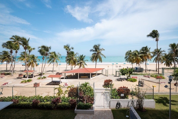 A beach view with palm trees, a covered seating area, and a fenced garden.