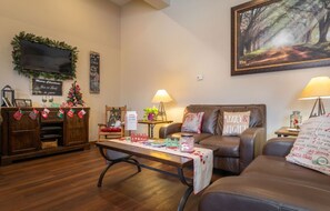 TV, fireplace, DVD player, table football