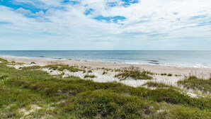 En strand med sanddyner och gräsbevuxen växtlighet.