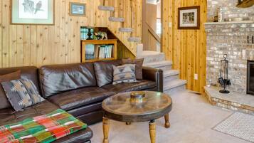 Télévision, cheminée, lecteur de DVD, livres