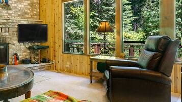 TV, fireplace, DVD player, books