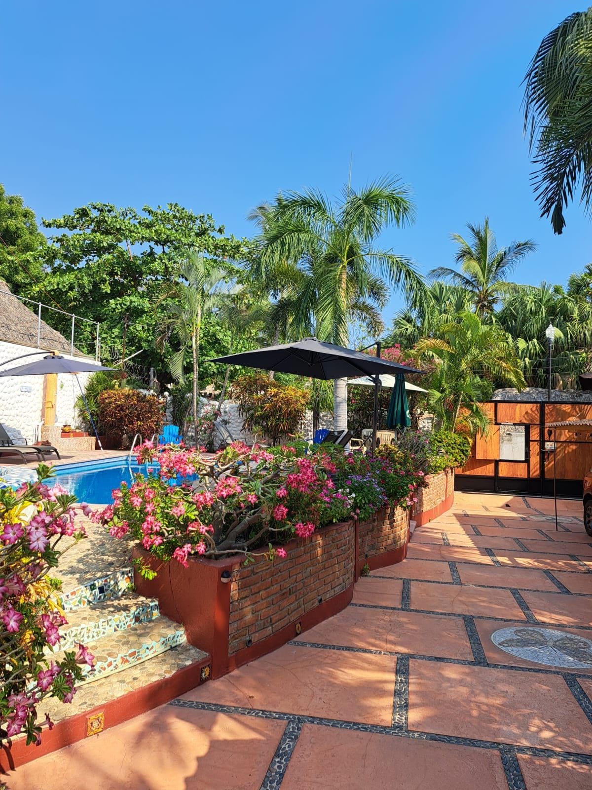 Foto - Hotelito Swiss Oasis - Adults Only