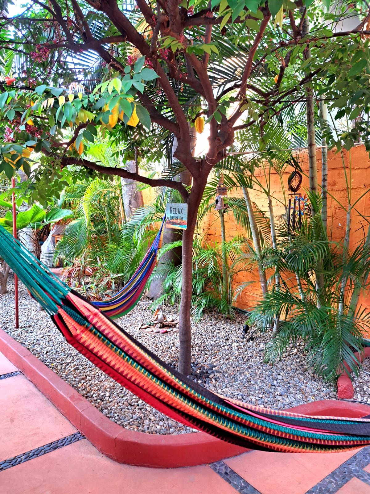 Foto - Hotelito Swiss Oasis - Adults Only