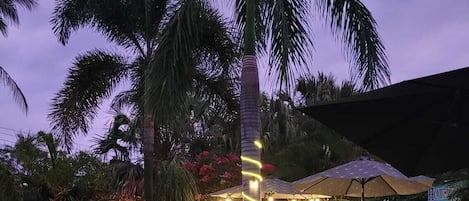 Outdoor pool, open 7:30 AM to 10:00 PM, pool umbrellas, pool loungers