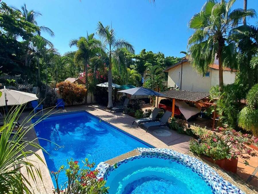 Una piscina con borde de mosaicos, rodeada de palmeras y sillones de descanso.
