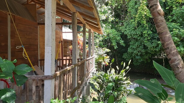 Vue sur le jardin