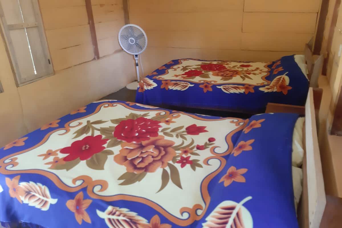 Phòng Tiêu chuẩn | 1 phòng ngủ, bộ trải giường bằng vải cotton Ai Cập