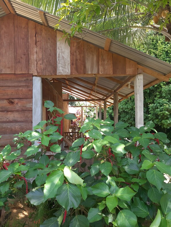 Garden - Centro Ecoturistico Yaajche (Ocosingo)