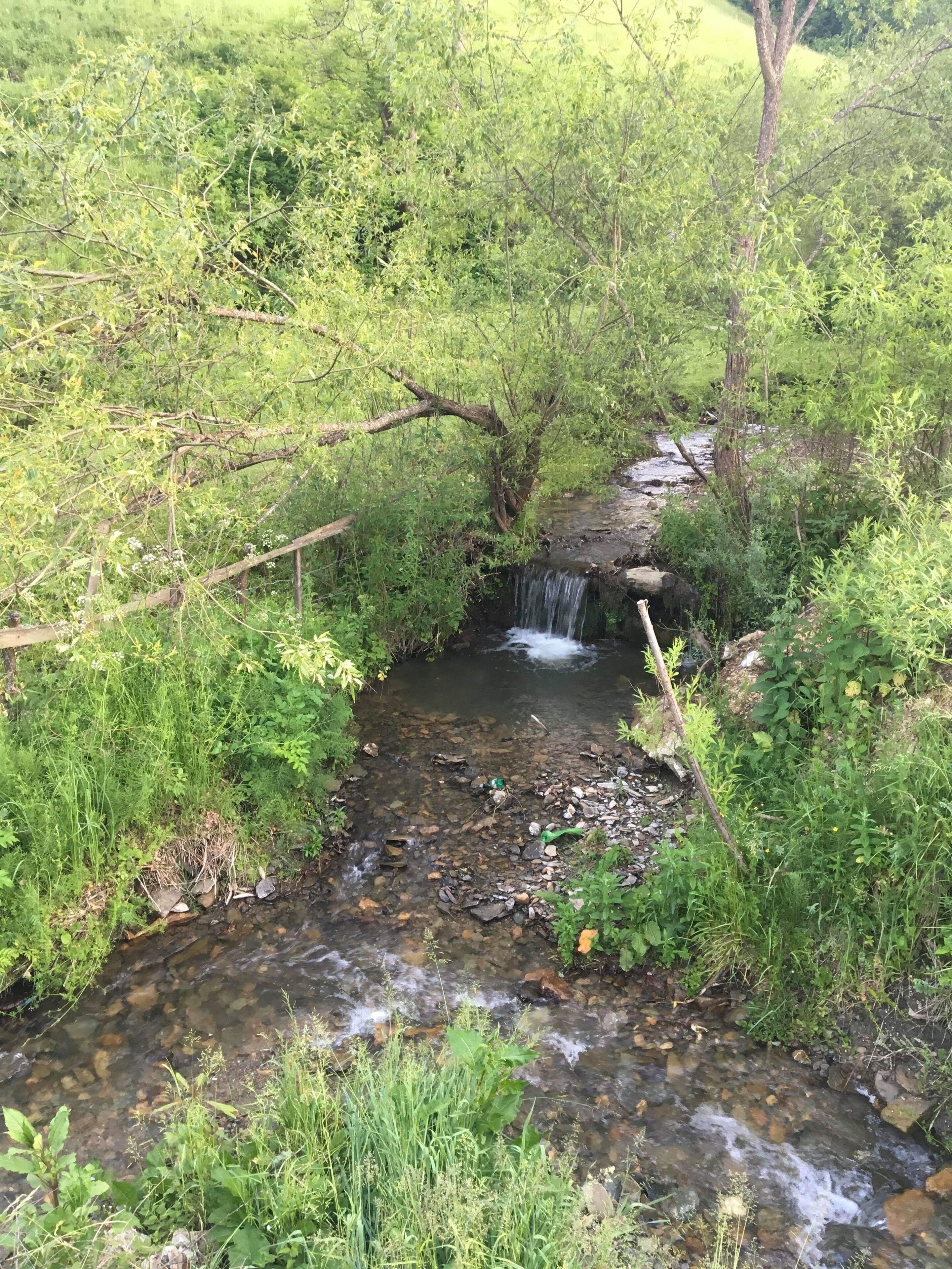 Overnatningsstedets område