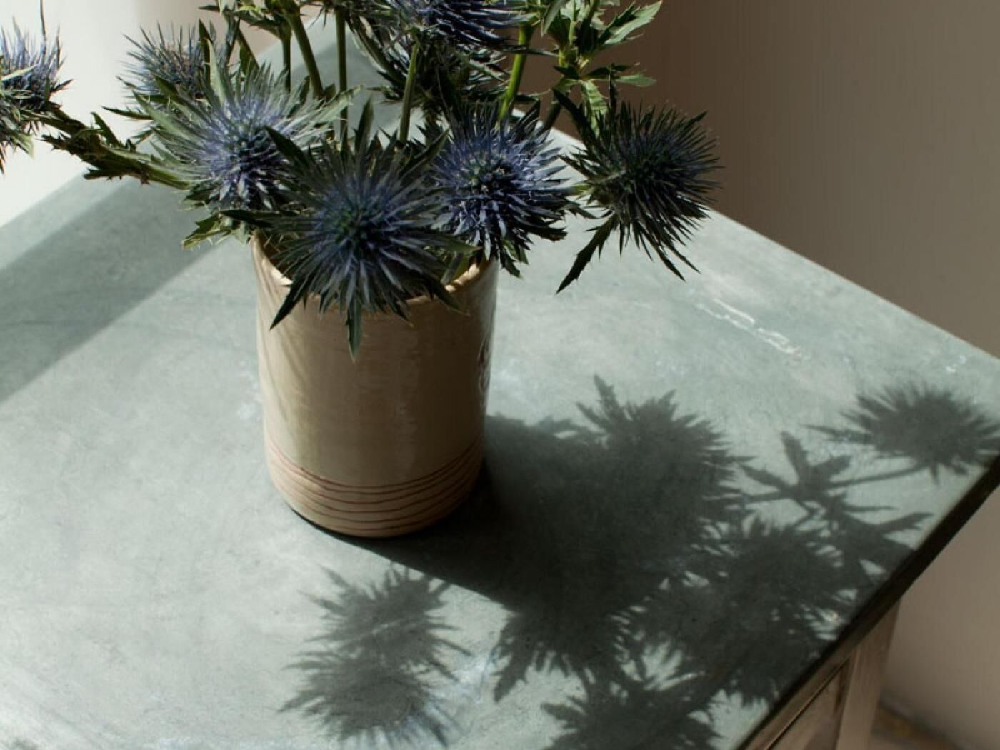 A potted plant with spiky leaves on a countertop.