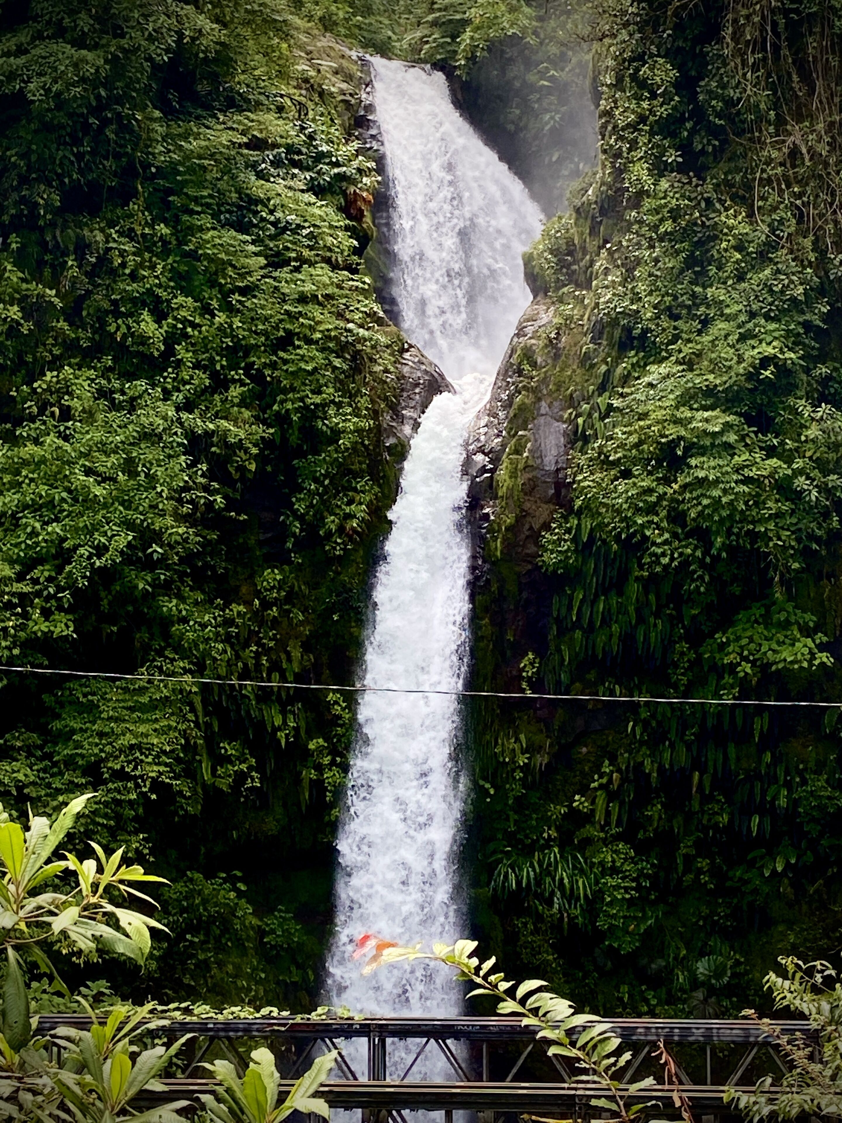 A waterfall surrounded by lush greenery.