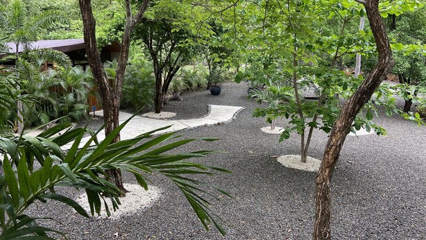 Un sendero en un jardín rodeado de árboles y plantas.