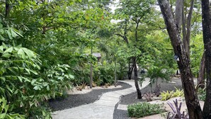 A pathway through a lush garden with various plants and trees. - Villa Nalu at Villas Kalei Private Boutique Hotel in Playa Grande Guanacaste, CR (Playa Grande)