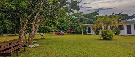 A grassy area with a wooden bench, two red cars parked, and a white building with a porch in the background.