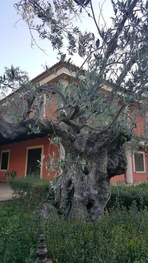 Garden - Casale degli Ulivi (Ciro Marina)
