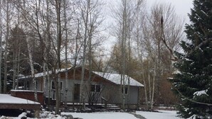 A snow-covered landscape with a stone pathway leading to a house surrounded by trees.
