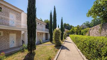 A residential street with houses, a pathway, and well-maintained hedges.