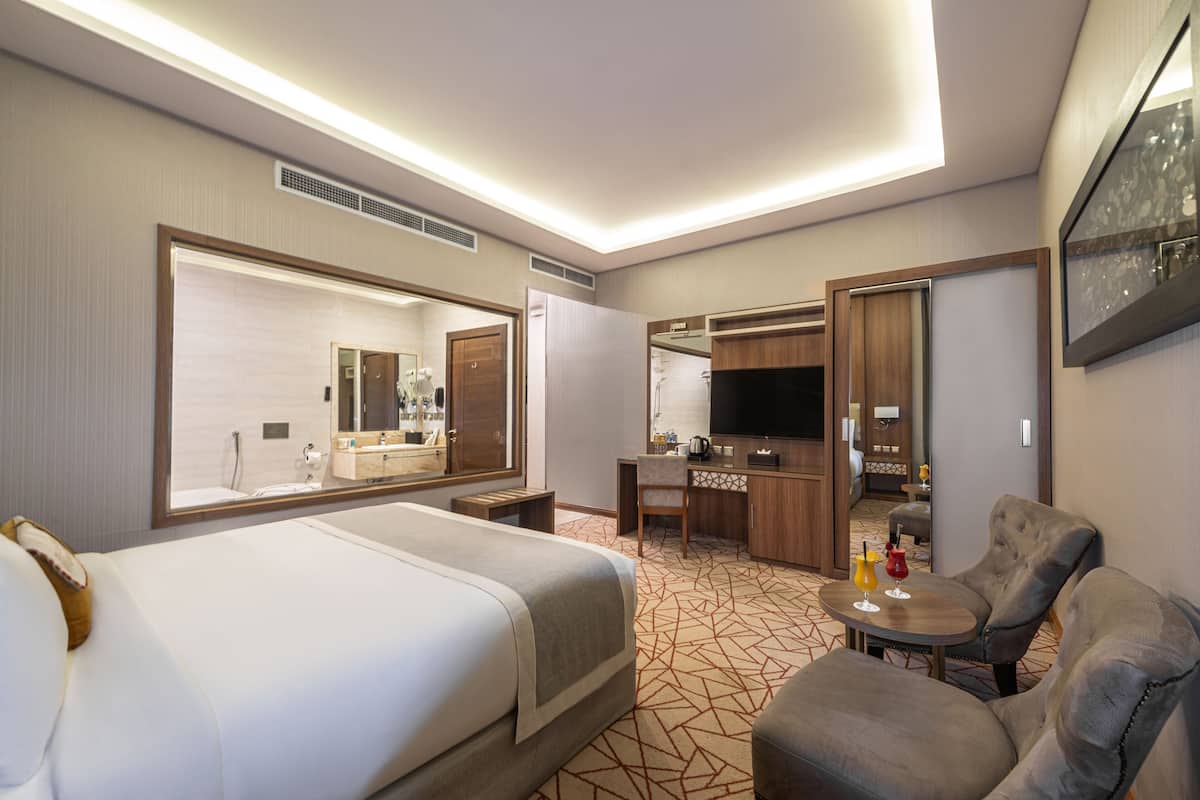 A hotel room with a large bed, a desk, a chair, a TV, and a mirror.