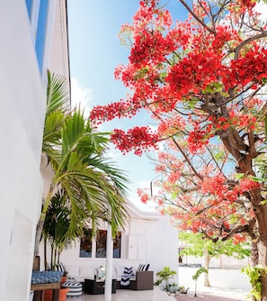 Terrace/patio - Villa Azul / Spectacular Ocean Views, 5 bedroom house with amazing pool area. (Savaneta)