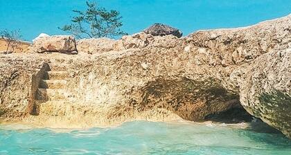 Spectacular Ocean Front Villa - upea 5 makuuhuoneen talo uskomattomalla uima-altaalla.