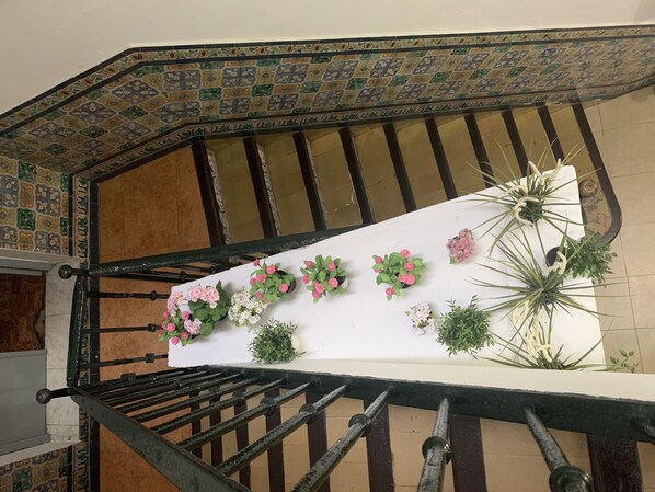 الفناء