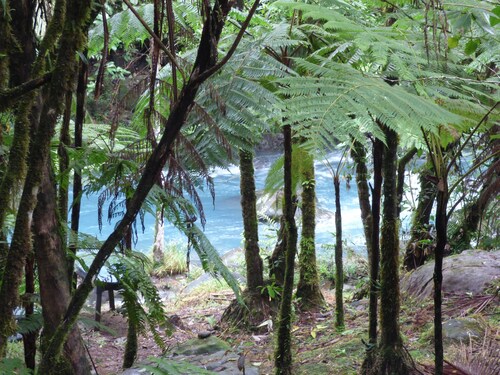 Cabinas Piuri - Campsite