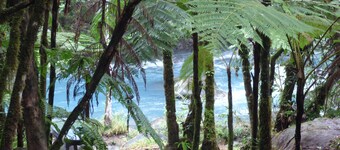 Cabinas Piuri - Campsite