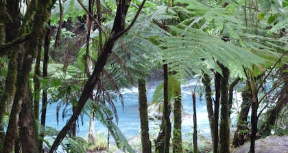 Cabinas Piuri - Campsite