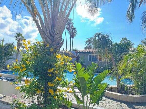 Outdoor pool - Casalina Garden Delux Suite (Oranjestad)