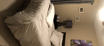 Rental for Christmas
