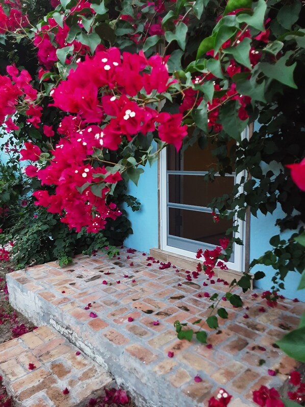 Terrein van de accommodatie