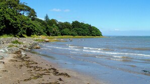 Ein Strand mit felsigem Ufer, ruhigem Wasser und dichtem Wald im Hintergrund.