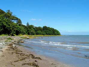 Una playa con costa rocosa, aguas tranquilas y un bosque denso al fondo.