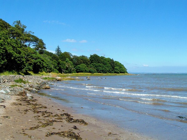 Una playa con costa rocosa, aguas tranquilas y un bosque denso al fondo.