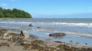 A beach with rocky shoreline, waves, and a forested area in the background.