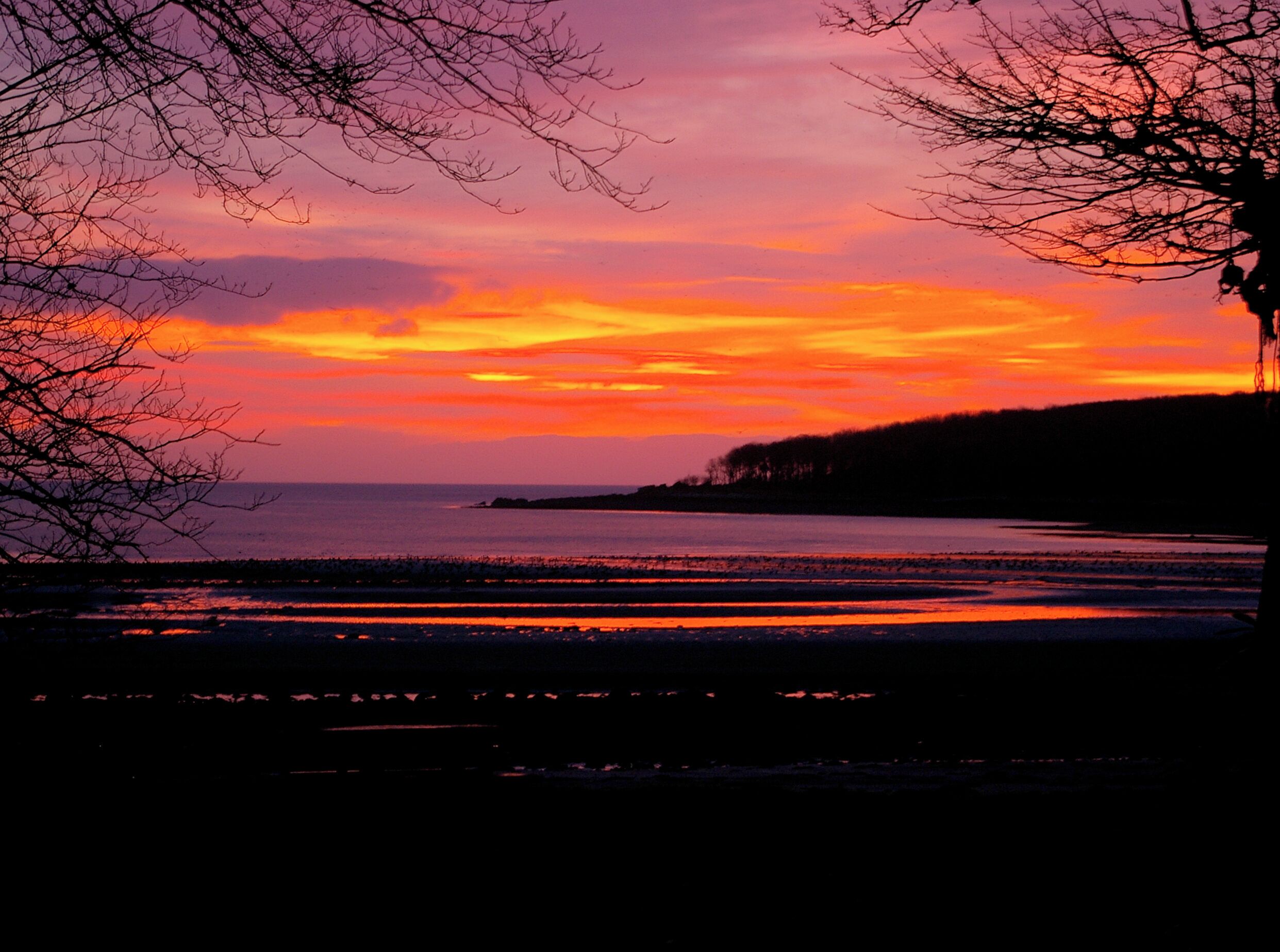 Ein Sonnenuntergang über einem Gewässer, mit silhouettierten Bäumen und einer fernen Küste.