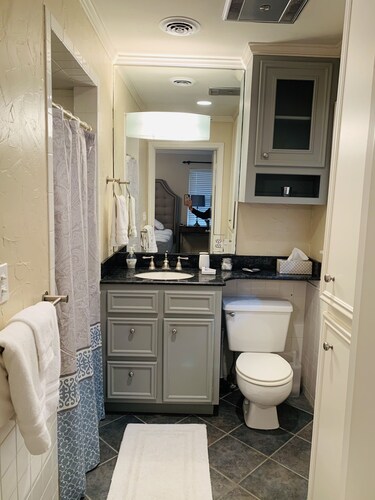CENTRALLY LOCATED HOME-MEDICAL CENTER/NRG AREA 