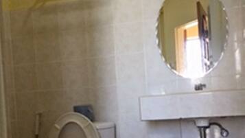 Un baño con inodoro, lavamanos y espejo.