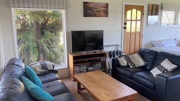 TV, fireplace, DVD player, books