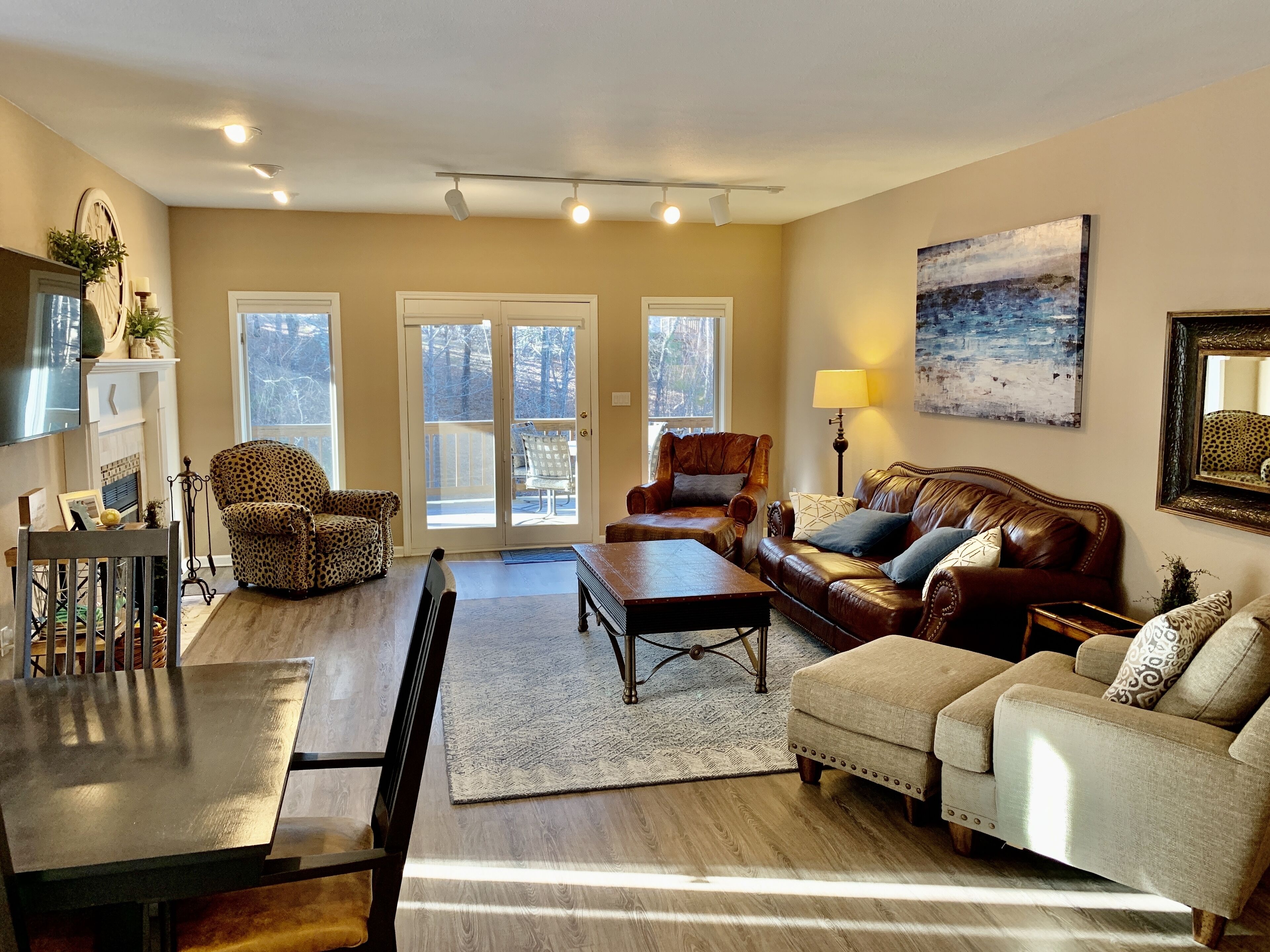 Smart TV, fireplace, books, stereo