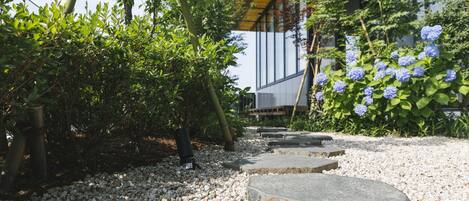 A garden pathway with stepping stones, surrounded by greenery and a building with large windows.