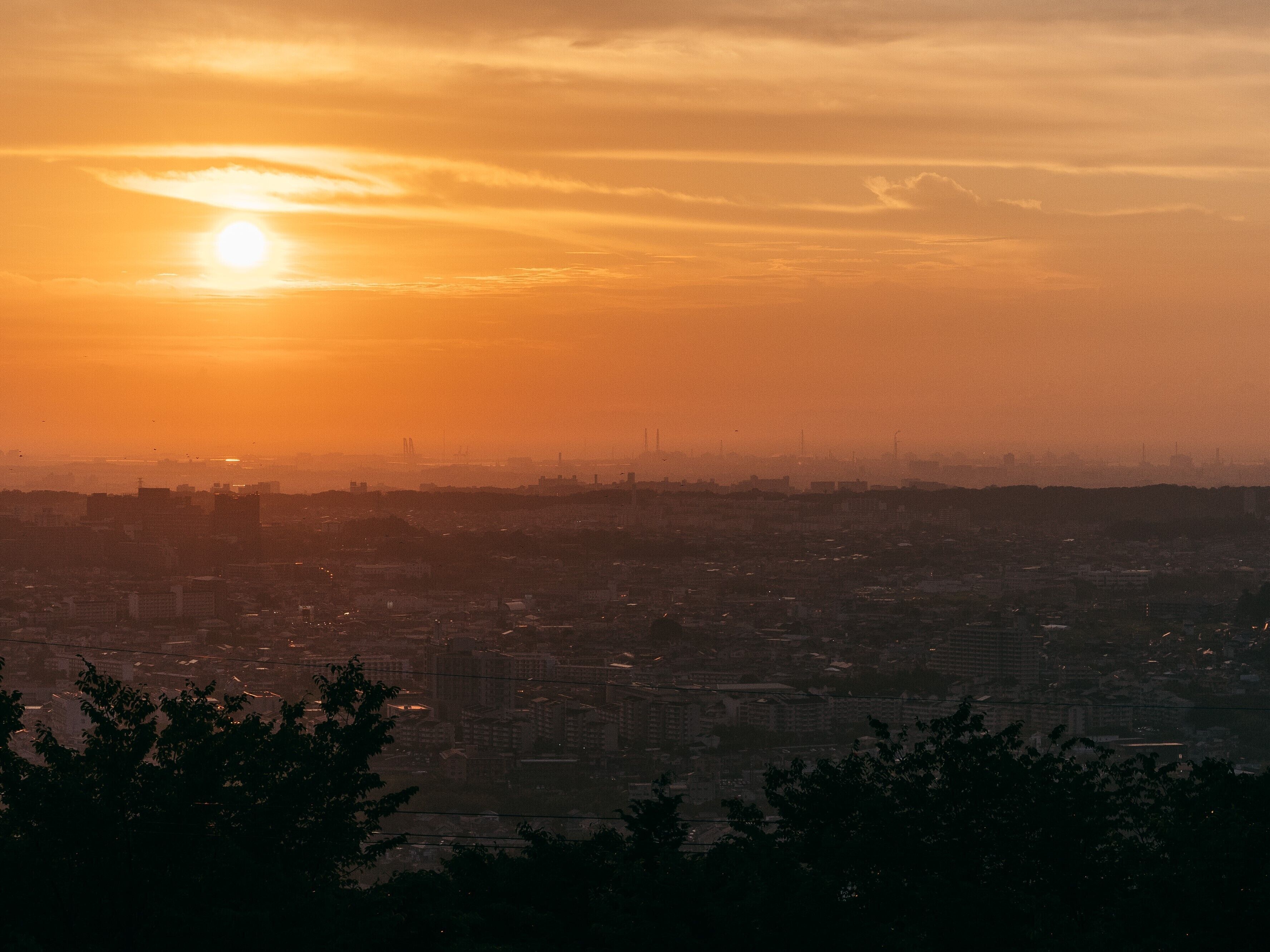 A cityscape at sunset with a visible bridge and distant buildings.