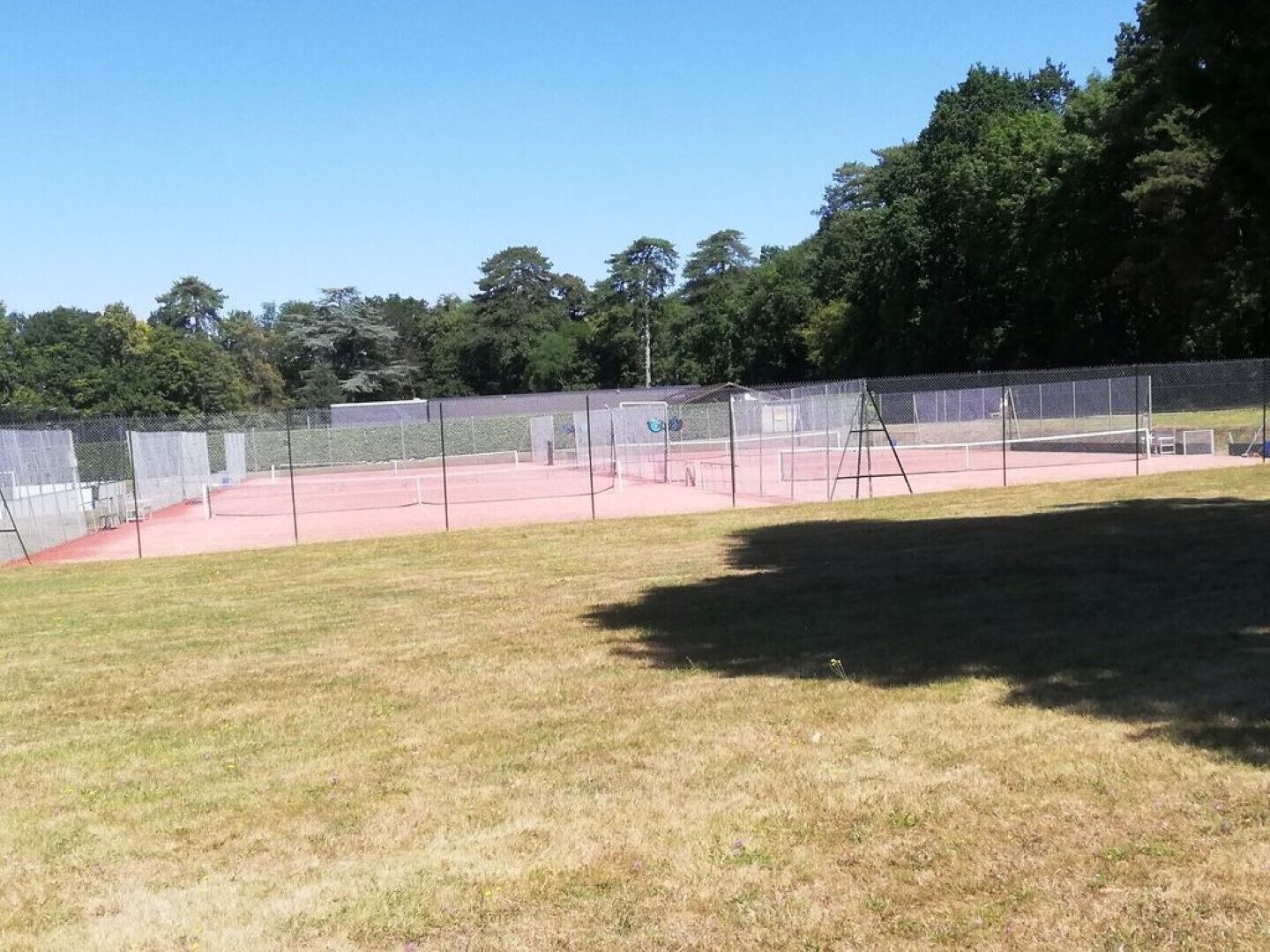 Una cancha de tenis con una red, rodeada por una cerca de malla y árboles al fondo.