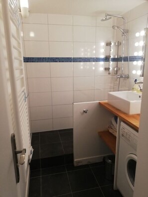 Shower, toilet paper - RENTAL DUPLEX 50 m2 (Savigny-sur-Clairis)