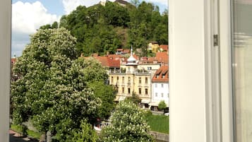 Vista desde la habitación