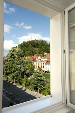 Habitación doble, vistas al río | Vistas desde la habitación