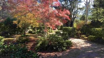 House, 3 Bedrooms | Garden view