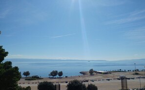 Beach/ocean view
