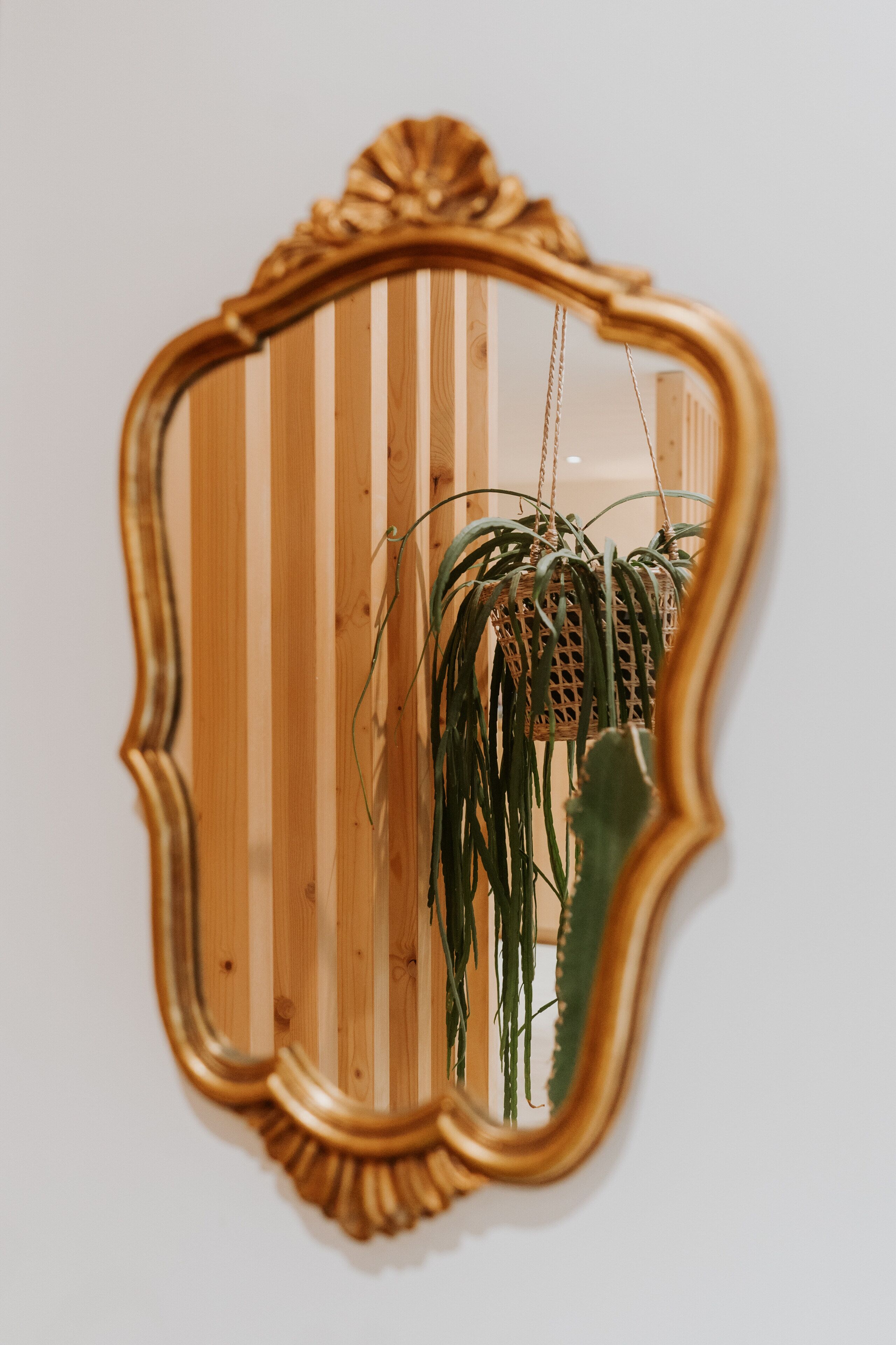 Un miroir avec un cadre en bois et une plante suspendue.