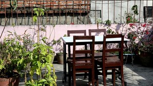 Un patio con una mesa y sillas, rodeado de plantas en macetas y un muro de ladrillo.